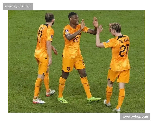 菲多艾米连科对决一龙：东西方格斗理念的巅峰碰撞与争议之战真相